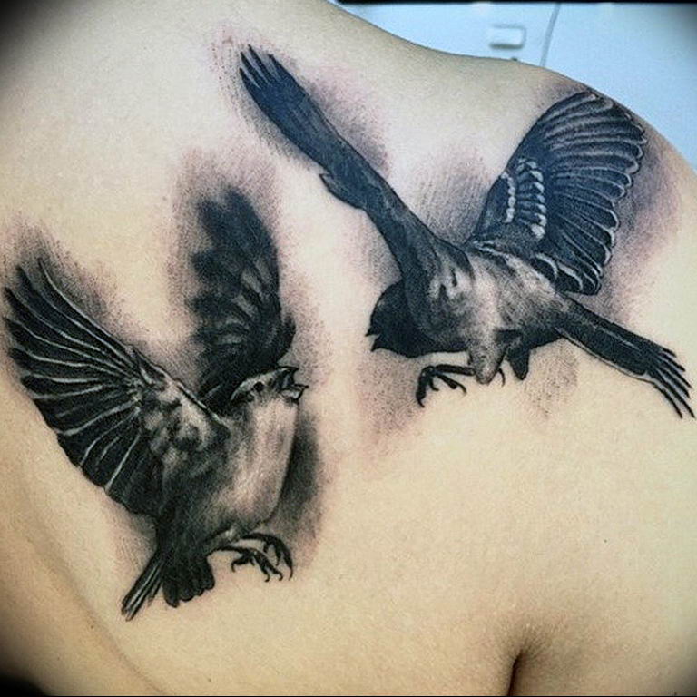 photo tattoo sparrow  №006 - sparrow tattoo idea -   