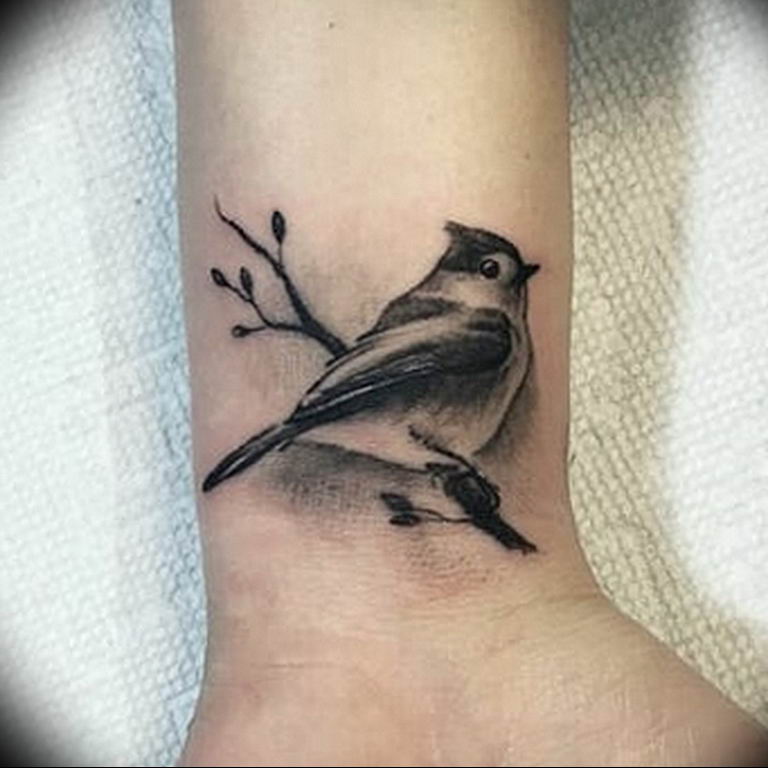 photo tattoo sparrow  №007 - sparrow tattoo idea -   