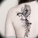 photo tattoo sparrow 19.02.2019 №037 - sparrow tattoo idea - tattoovalue.net