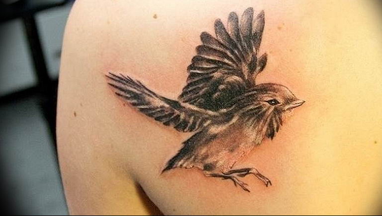 photo tattoo sparrow  №043 - sparrow tattoo idea -   