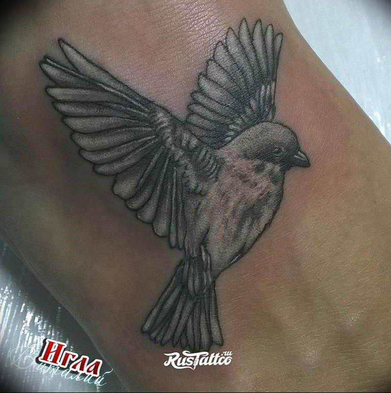 photo tattoo sparrow  №075 - sparrow tattoo idea -   