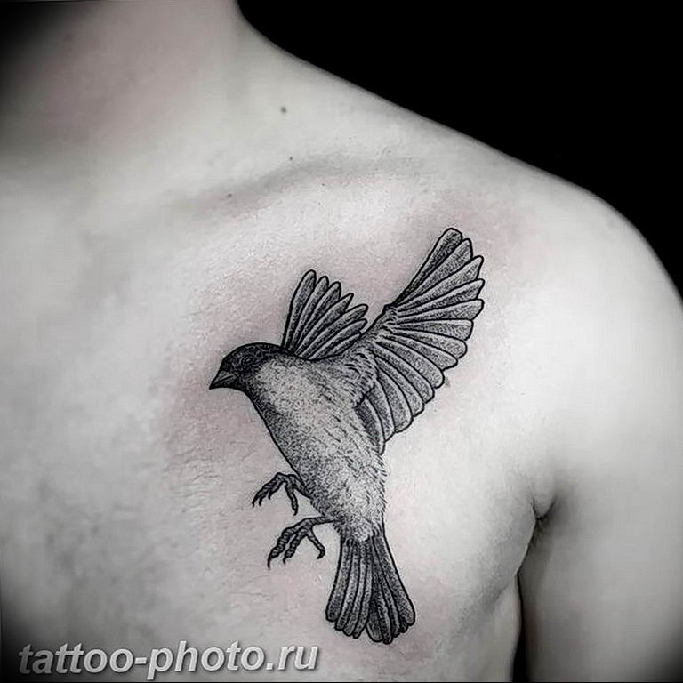 The Meaning of the Sparrow Tattoo: drawing history, photo examples, sketches