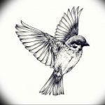 photo tattoo sparrow 19.02.2019 №003 - sparrow tattoo idea - tattoovalue.net