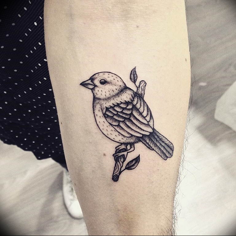 photo tattoo sparrow 19.02.2019 №004 - sparrow tattoo idea - tattoovalue.net