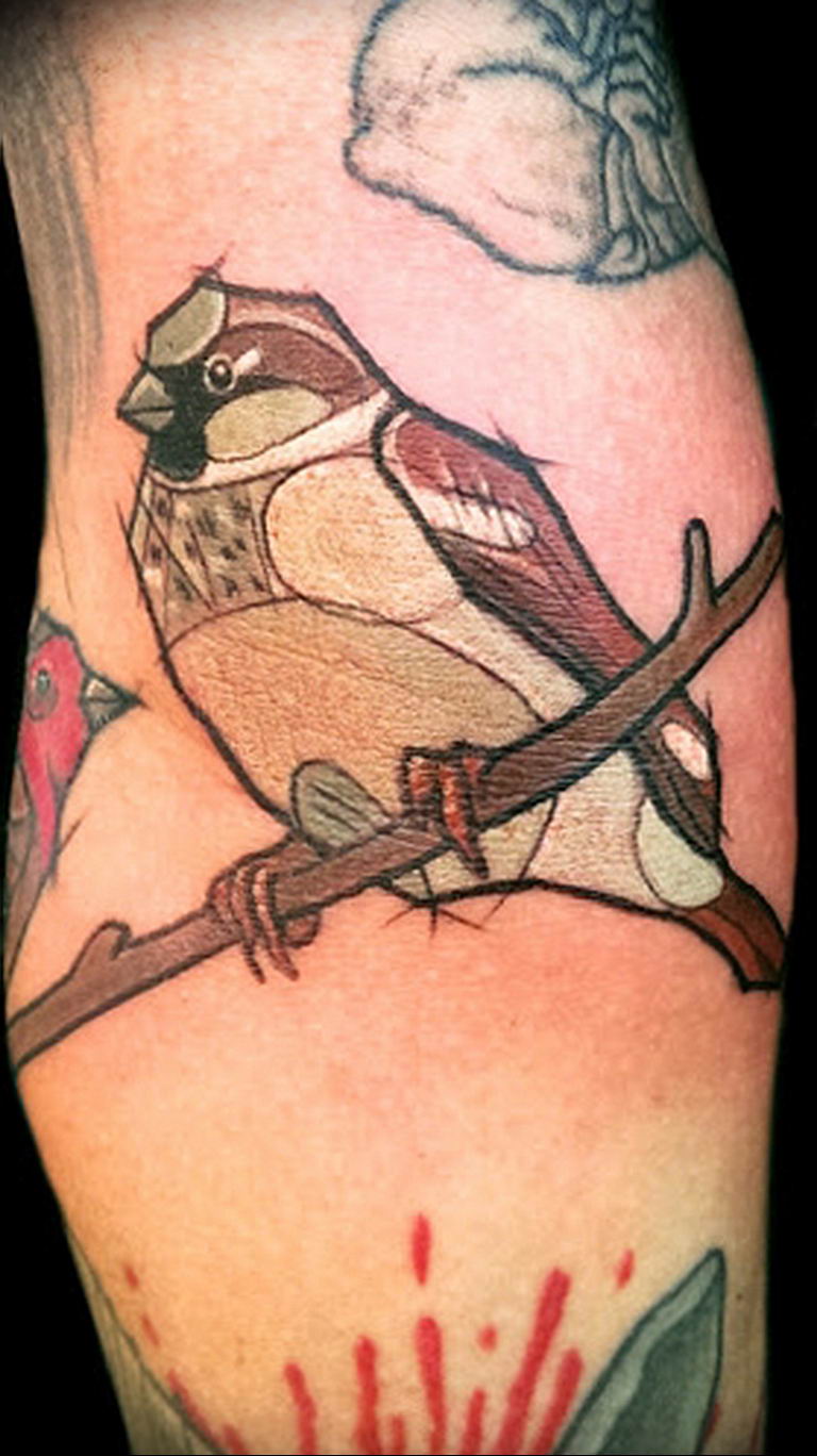photo tattoo sparrow 19.02.2019 №009 - sparrow tattoo idea - tattoovalue.net
