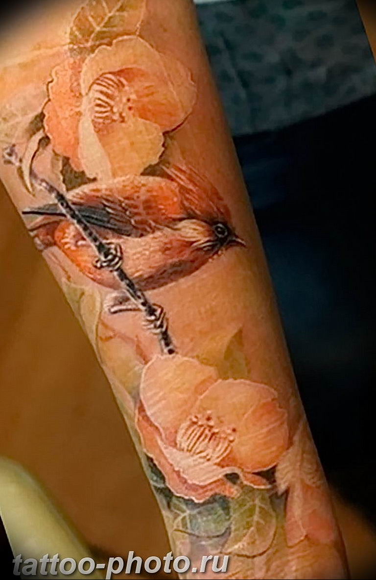 photo tattoo sparrow 19.02.2019 №012 - sparrow tattoo idea - tattoovalue.net