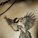 photo tattoo sparrow 19.02.2019 №016 - sparrow tattoo idea - tattoovalue.net