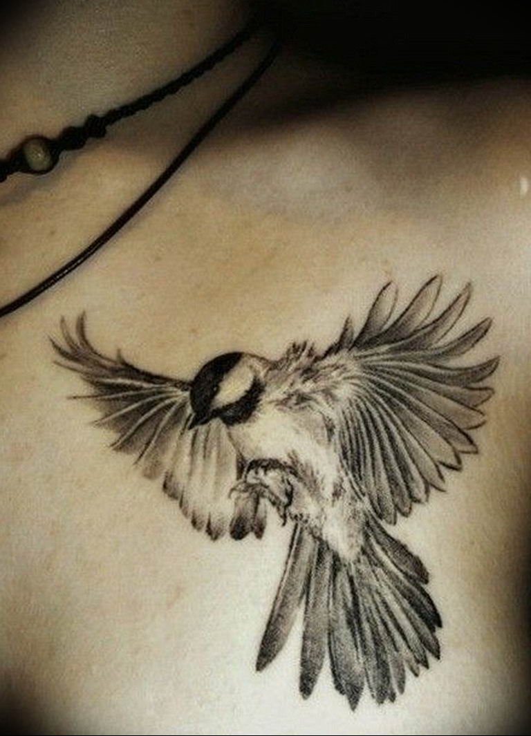 photo tattoo sparrow 19.02.2019 №016 - sparrow tattoo idea - tattoovalue.net