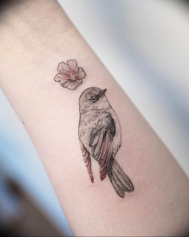 photo tattoo sparrow 19.02.2019 №019 - sparrow tattoo idea - tattoovalue.net