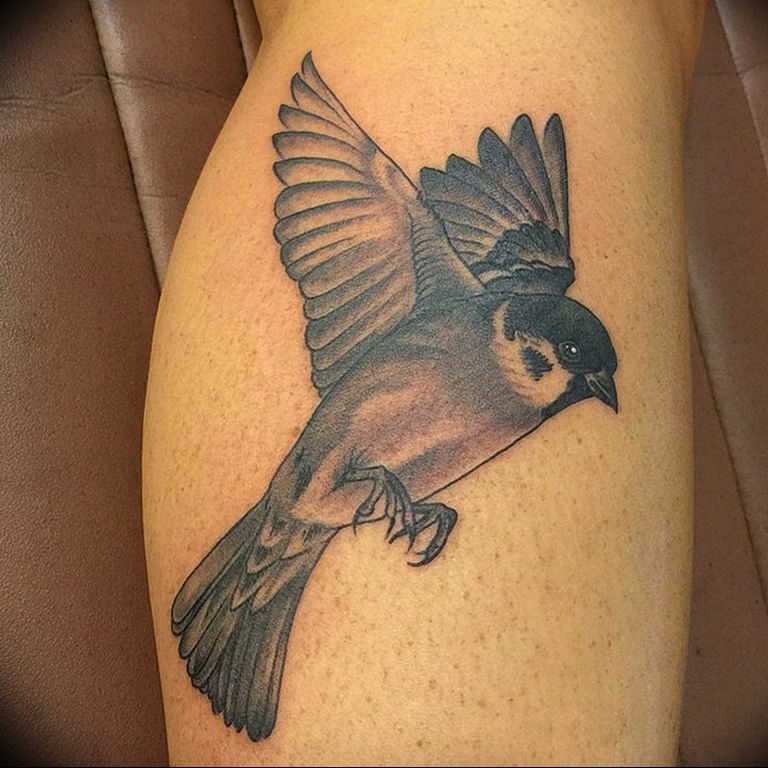 photo tattoo sparrow 19.02.2019 №025 - sparrow tattoo idea - tattoovalue.net