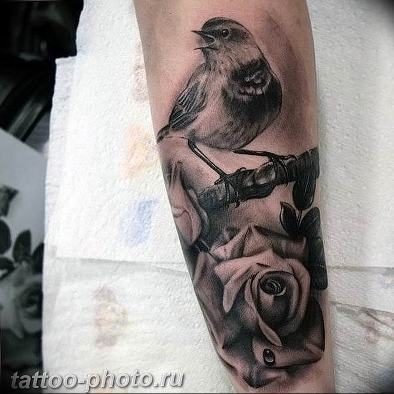 photo tattoo sparrow 19.02.2019 №026 - sparrow tattoo idea - tattoovalue.net