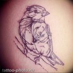 photo tattoo sparrow 19.02.2019 №028 - sparrow tattoo idea - tattoovalue.net