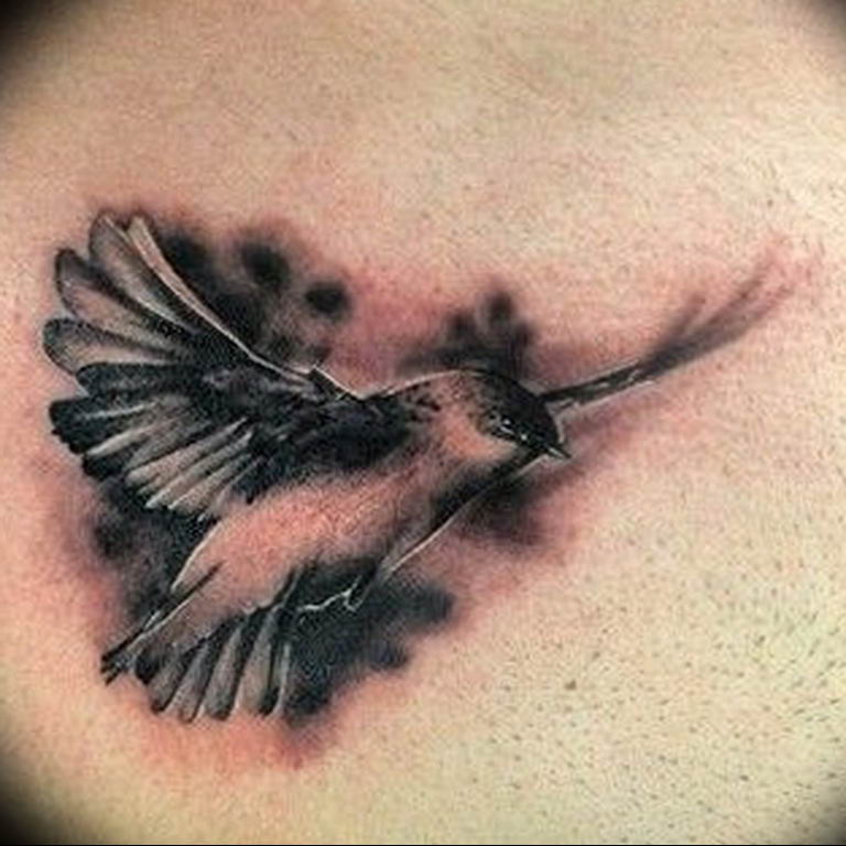 photo tattoo sparrow 19.02.2019 №029 - sparrow tattoo idea - tattoovalue.net