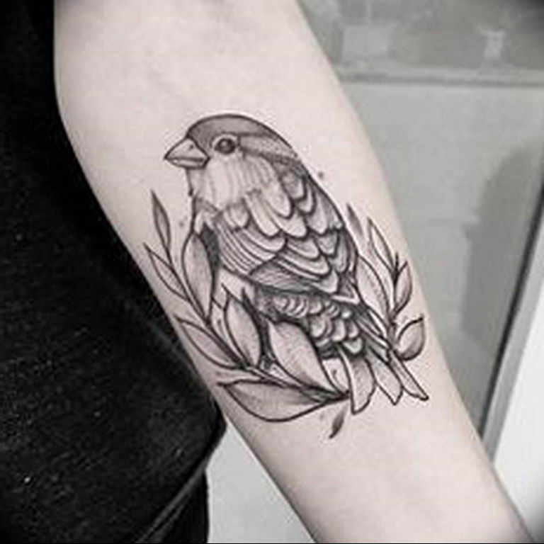 photo tattoo sparrow 19.02.2019 №030 - sparrow tattoo idea - tattoovalue.net