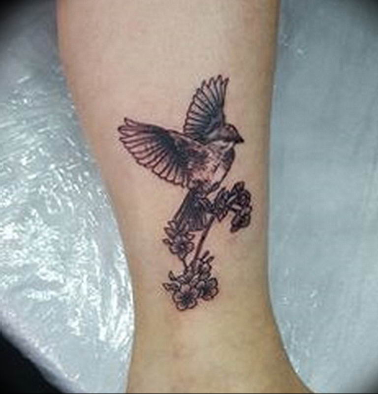 photo tattoo sparrow 19.02.2019 №031 - sparrow tattoo idea - tattoovalue.net