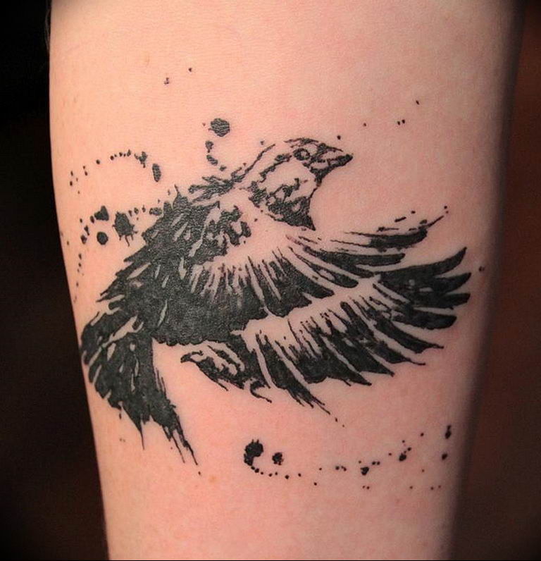 photo tattoo sparrow 19.02.2019 №034 - sparrow tattoo idea - tattoovalue.net