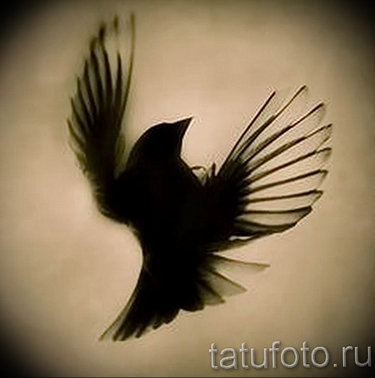 photo tattoo sparrow 19.02.2019 №035 - sparrow tattoo idea - tattoovalue.net