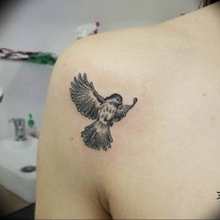 photo tattoo sparrow 19.02.2019 №036 - sparrow tattoo idea - tattoovalue.net