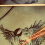 photo tattoo sparrow 19.02.2019 №040 - sparrow tattoo idea - tattoovalue.net