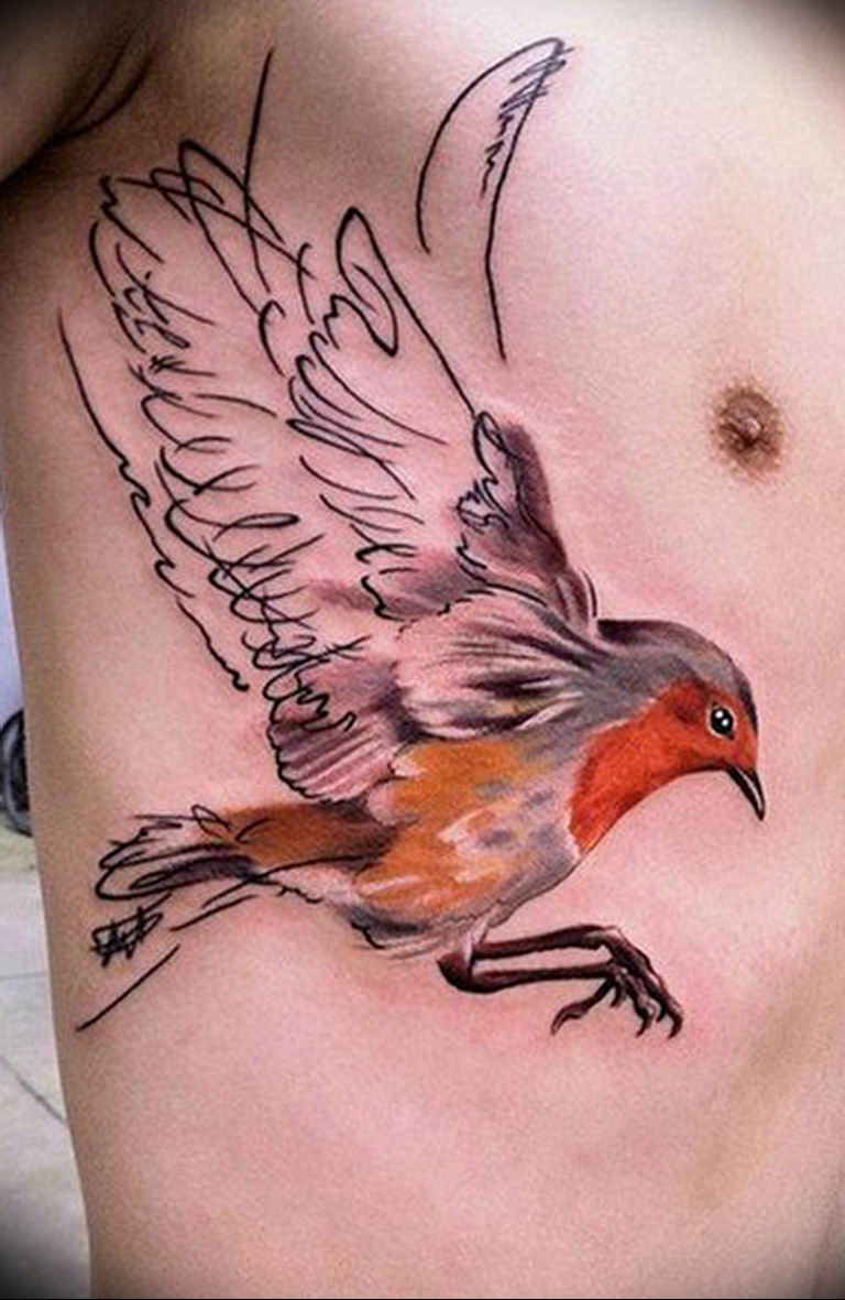 photo tattoo sparrow 19.02.2019 №041 - sparrow tattoo idea - tattoovalue.net