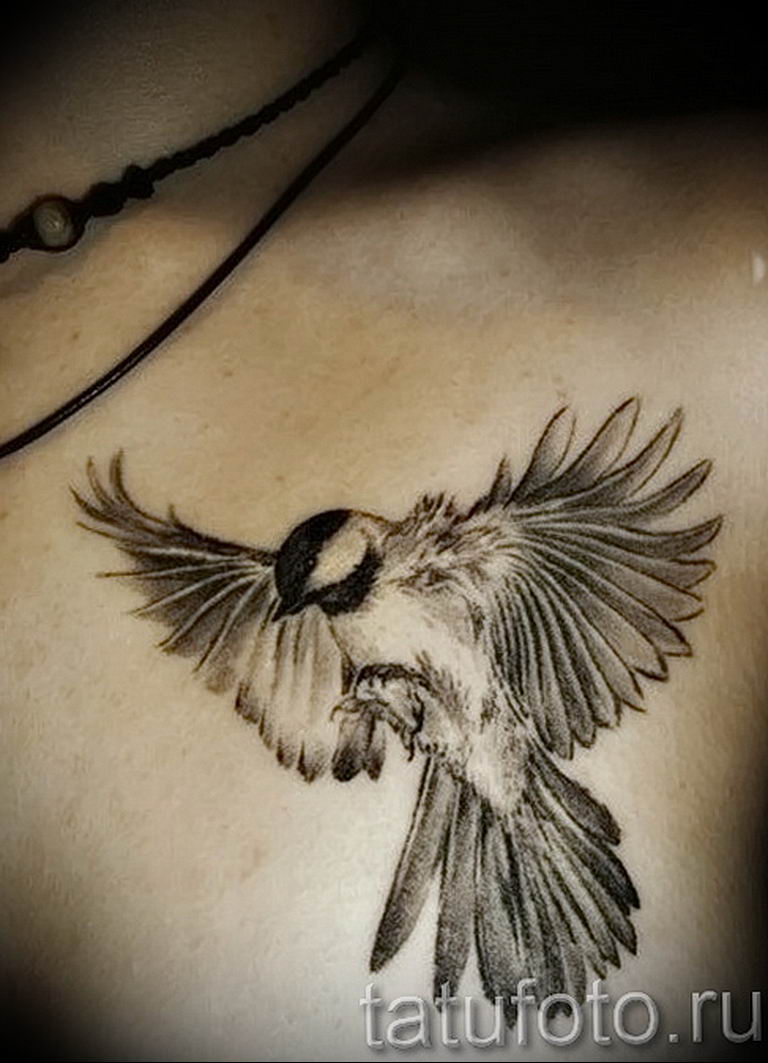 photo tattoo sparrow 19.02.2019 №044 - sparrow tattoo idea - tattoovalue.net