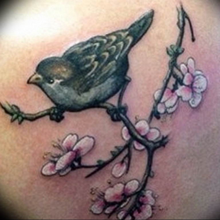 photo tattoo sparrow 19.02.2019 №045 - sparrow tattoo idea - tattoovalue.net