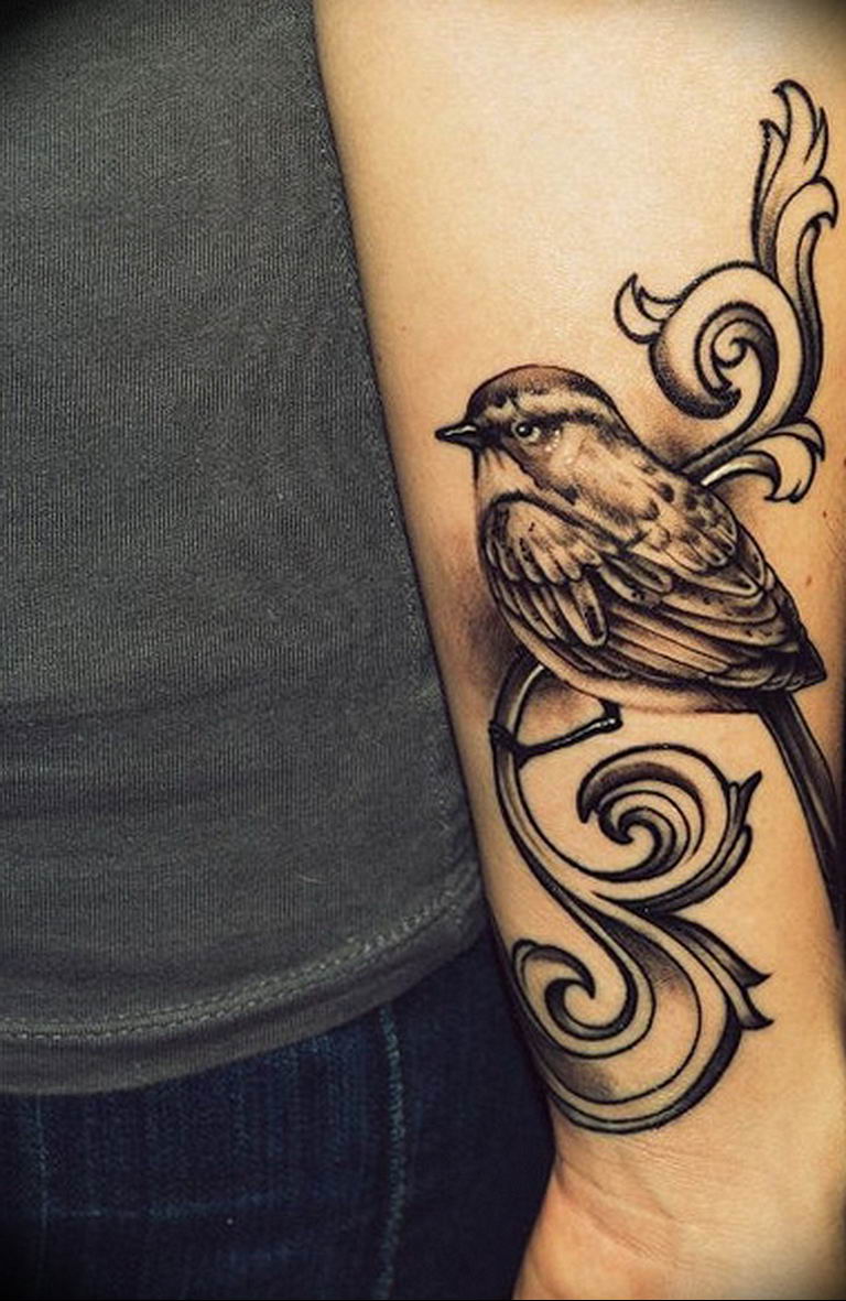 photo tattoo sparrow 19.02.2019 №047 - sparrow tattoo idea - tattoovalue.net