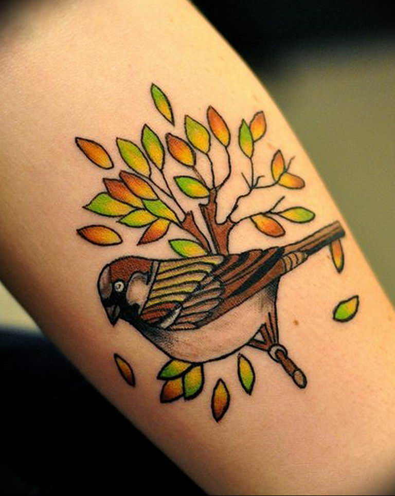 photo tattoo sparrow 19.02.2019 №049 - sparrow tattoo idea - tattoovalue.net