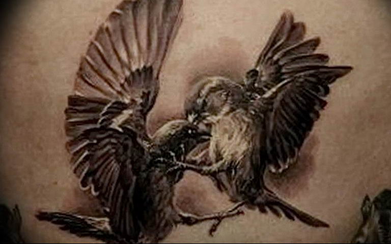 photo tattoo sparrow 19.02.2019 №054 - sparrow tattoo idea - tattoovalue.net