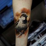 photo tattoo sparrow 19.02.2019 №055 - sparrow tattoo idea - tattoovalue.net
