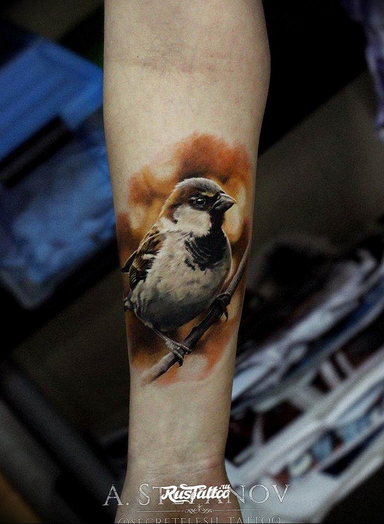 photo tattoo sparrow 19.02.2019 №055 - sparrow tattoo idea - tattoovalue.net