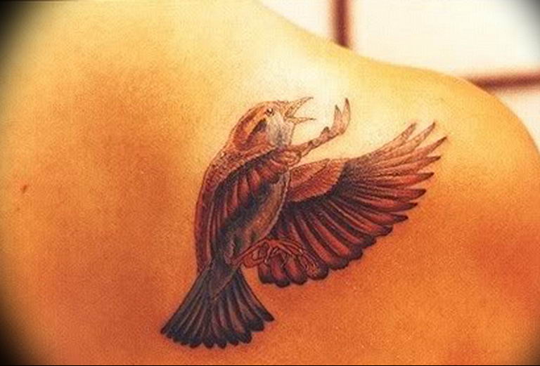 photo tattoo sparrow 19.02.2019 №056 - sparrow tattoo idea - tattoovalue.net
