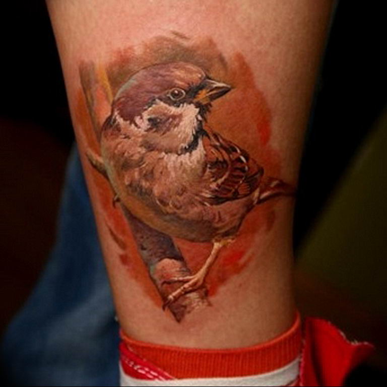 photo tattoo sparrow 19.02.2019 №058 - sparrow tattoo idea - tattoovalue.net