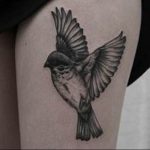 photo tattoo sparrow 19.02.2019 №063 - sparrow tattoo idea - tattoovalue.net