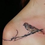 photo tattoo sparrow 19.02.2019 №065 - sparrow tattoo idea - tattoovalue.net