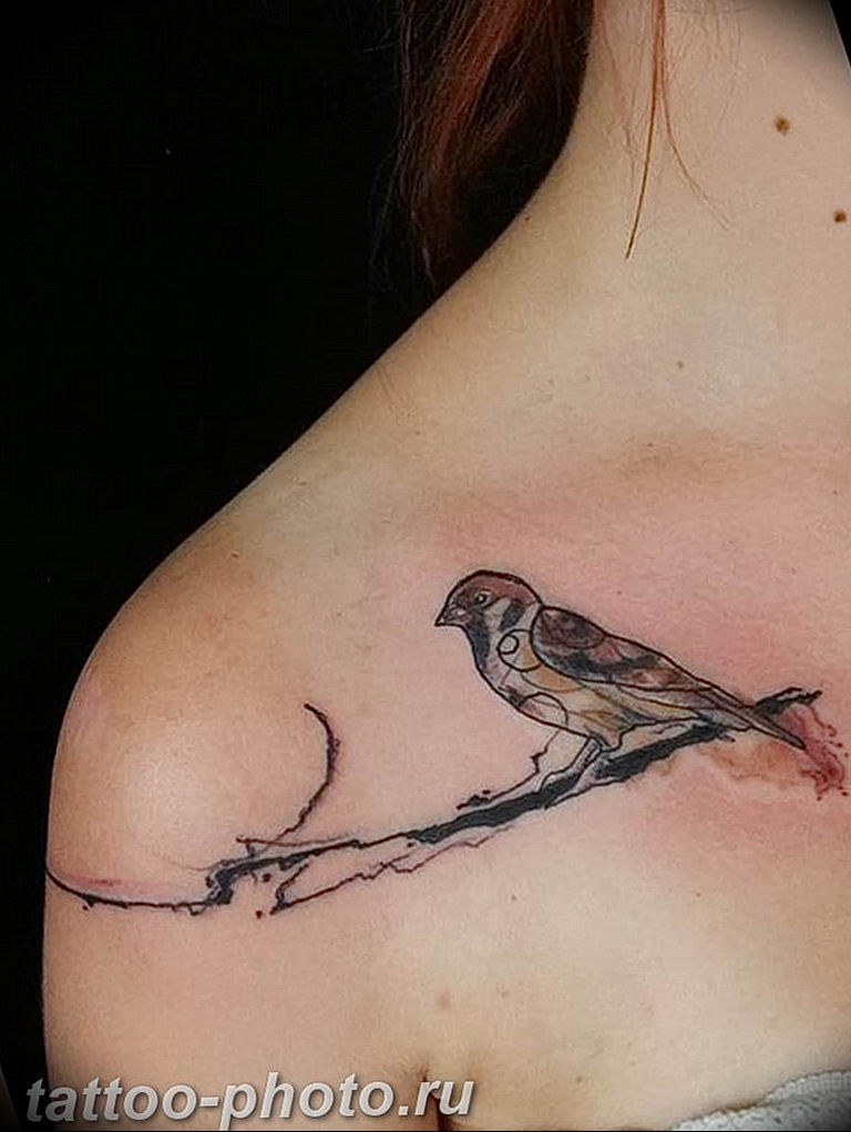 photo tattoo sparrow 19.02.2019 №065 - sparrow tattoo idea - tattoovalue.net
