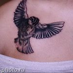 photo tattoo sparrow 19.02.2019 №066 - sparrow tattoo idea - tattoovalue.net