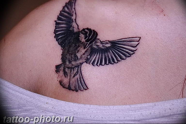 photo tattoo sparrow 19.02.2019 №066 - sparrow tattoo idea - tattoovalue.net