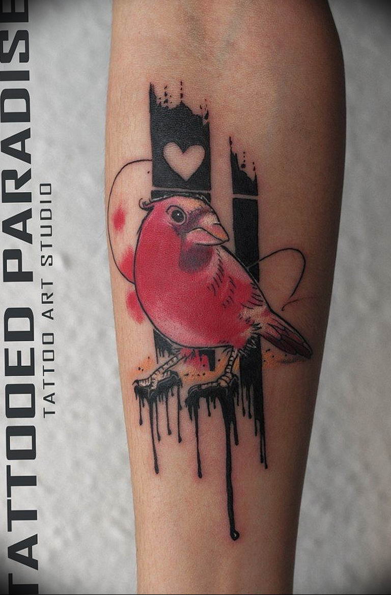 photo tattoo sparrow 19.02.2019 №071 - sparrow tattoo idea - tattoovalue.net
