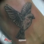 photo tattoo sparrow 19.02.2019 №075 - sparrow tattoo idea - tattoovalue.net
