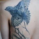photo tattoo sparrow 19.02.2019 №076 - sparrow tattoo idea - tattoovalue.net
