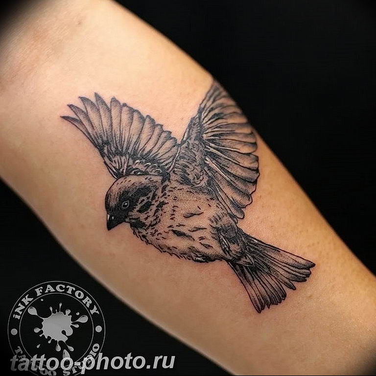 photo tattoo sparrow 19.02.2019 №081 - sparrow tattoo idea - tattoovalue.net