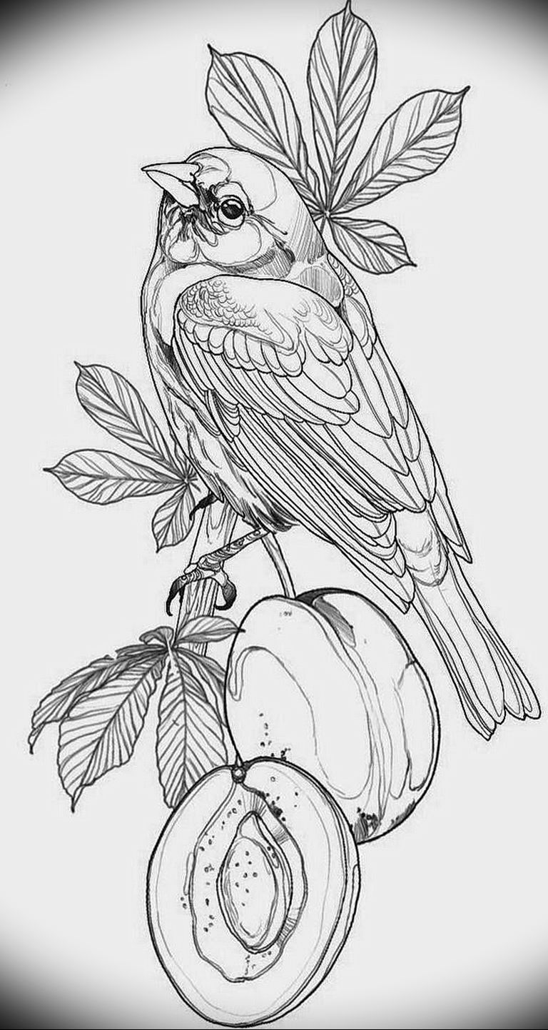 photo tattoo sparrow 19.02.2019 №082 - sparrow tattoo idea - tattoovalue.net