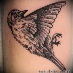 photo tattoo sparrow 19.02.2019 №087 - sparrow tattoo idea - tattoovalue.net