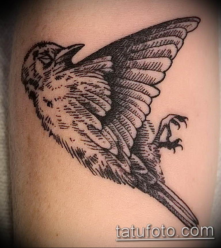 photo tattoo sparrow 19.02.2019 №087 - sparrow tattoo idea - tattoovalue.net