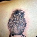 photo tattoo sparrow 19.02.2019 №091 - sparrow tattoo idea - tattoovalue.net