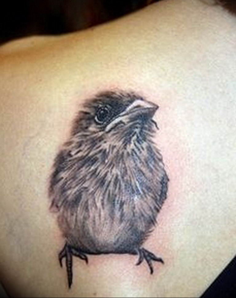 photo tattoo sparrow 19.02.2019 №091 - sparrow tattoo idea - tattoovalue.net