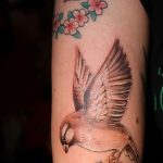 photo tattoo sparrow 19.02.2019 №094 - sparrow tattoo idea - tattoovalue.net