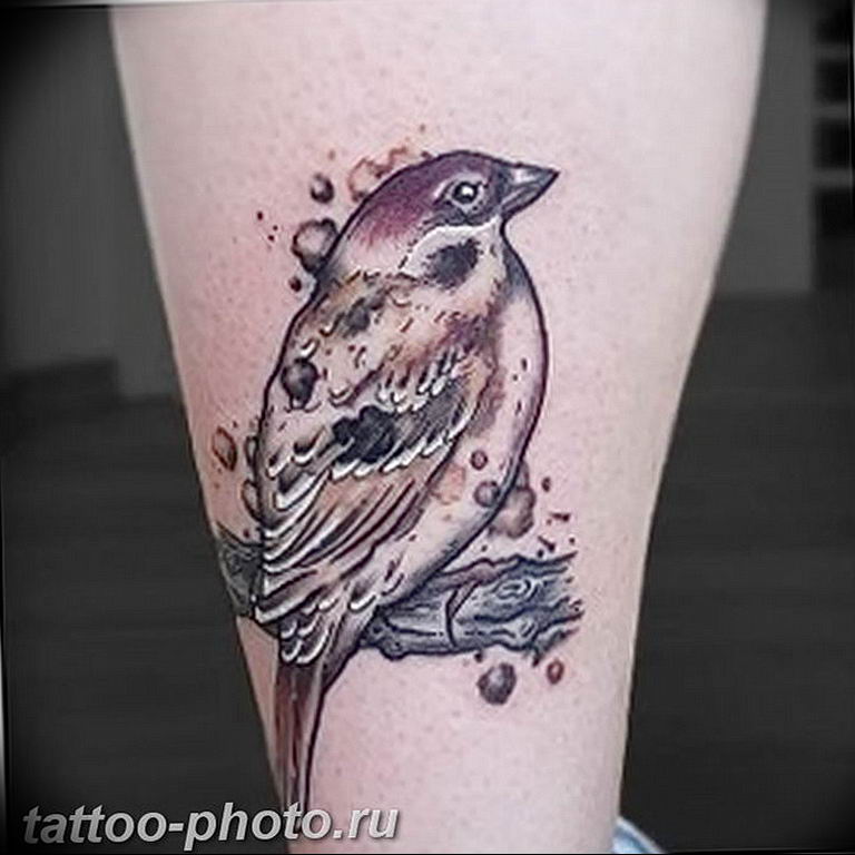 photo tattoo sparrow 19.02.2019 №096 - sparrow tattoo idea - tattoovalue.net