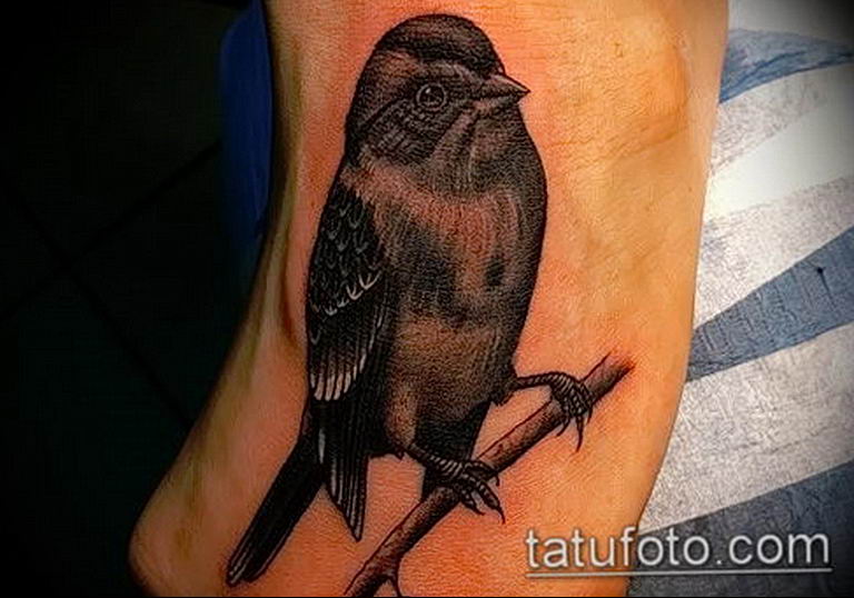 photo tattoo sparrow 19.02.2019 №098 - sparrow tattoo idea - tattoovalue.net
